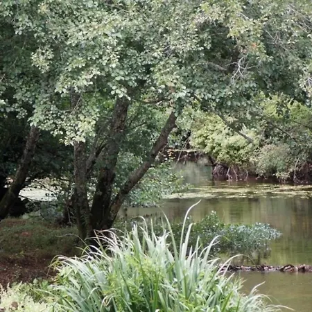 3 Etoiles - Piscine - Eeicbi * Le Change